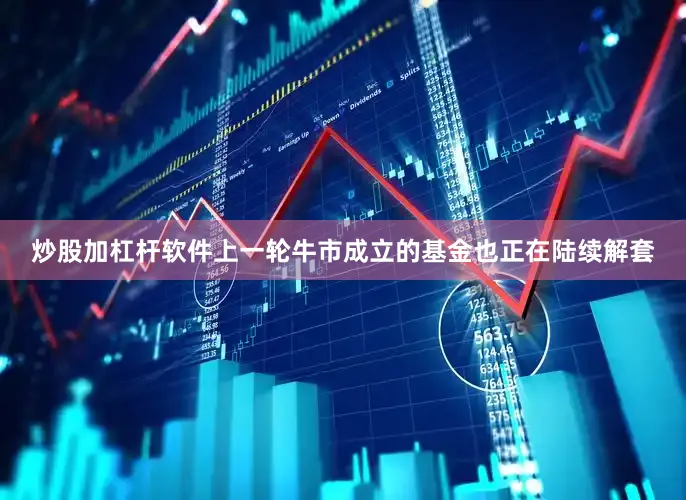 炒股加杠杆软件上一轮牛市成立的基金也正在陆续解套