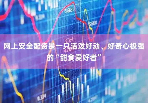 网上安全配资是一只活泼好动、好奇心极强的“甜食爱好者”